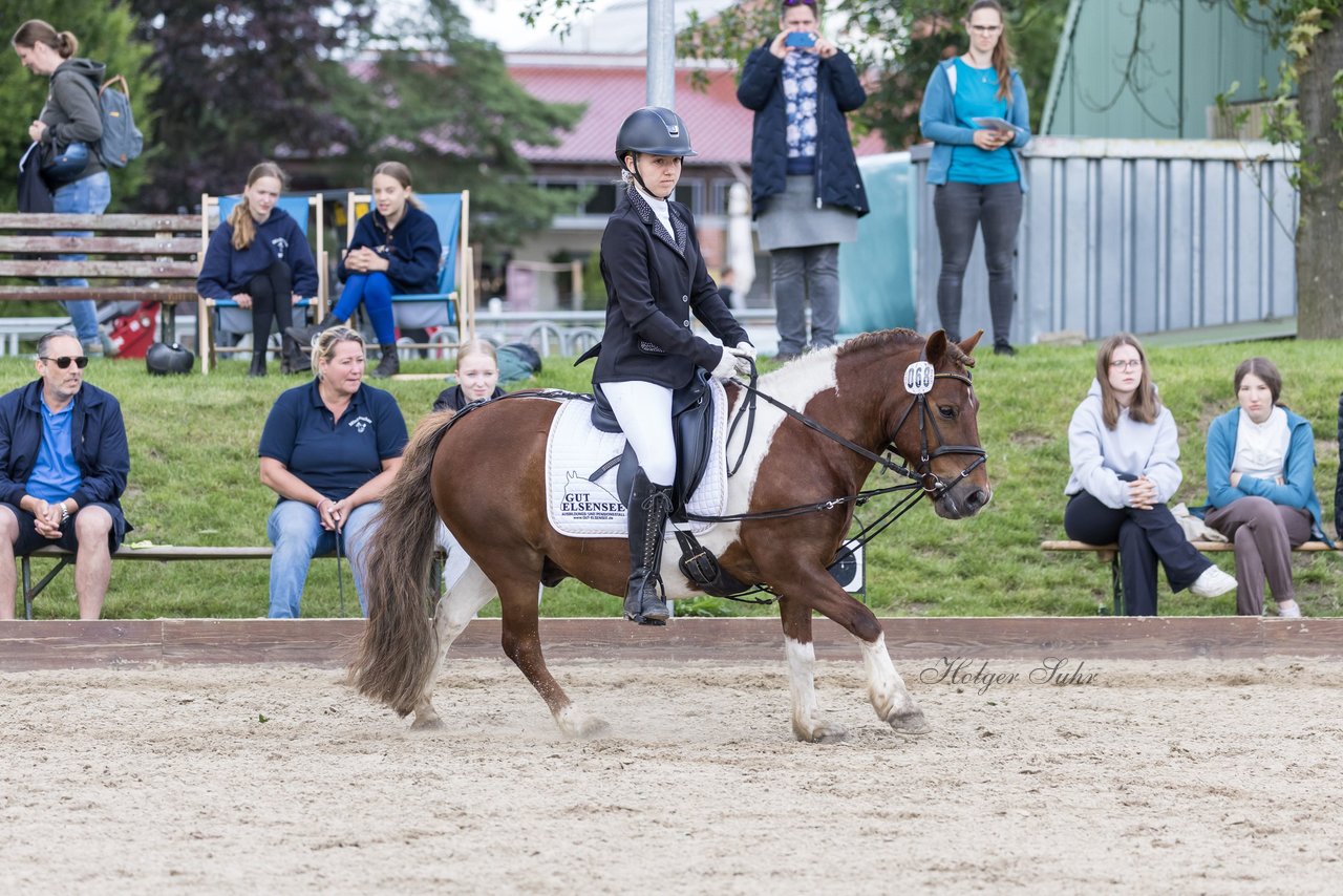 Bild 310 - Pony Akademie Turnier